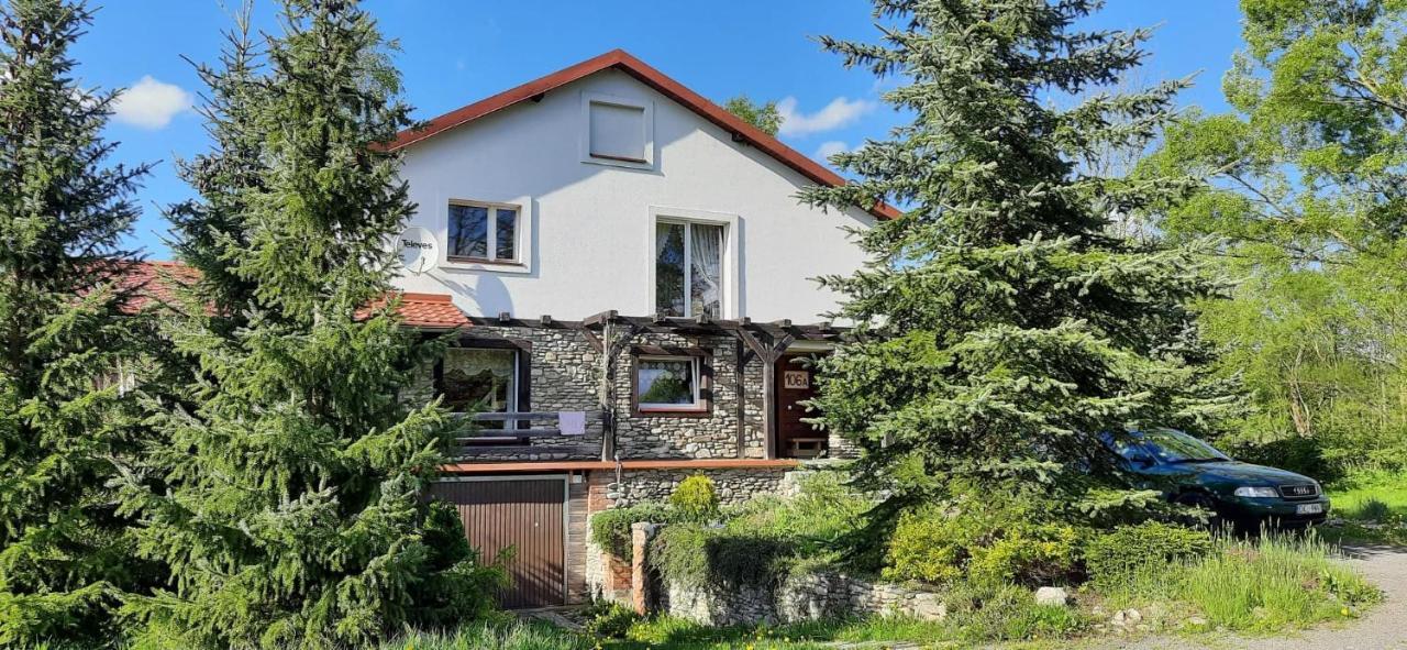 Zielonapogoda Lądek-Zdrój Exteriör bild