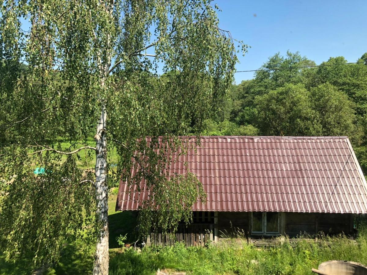 Zielonapogoda Lądek-Zdrój Exteriör bild