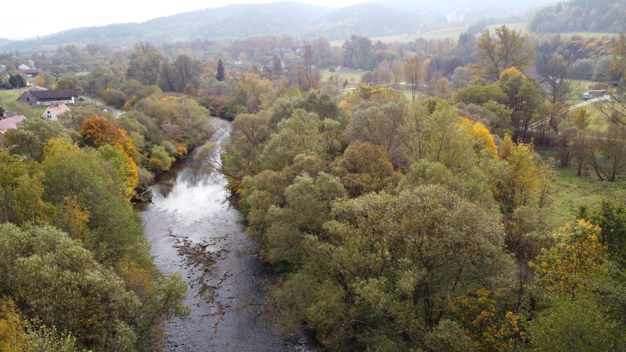 Zielonapogoda Lądek-Zdrój Exteriör bild