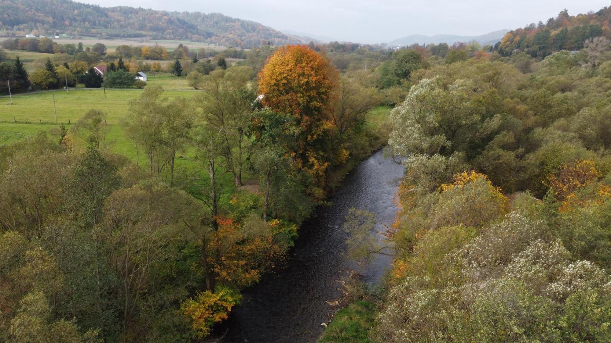 Zielonapogoda Lądek-Zdrój Exteriör bild